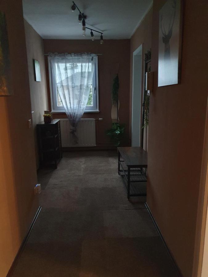 Ferienwohnung Am Siegelbaechle Mit E-Bikes Vermietung Gutach im Breisgau ภายนอก รูปภาพ
