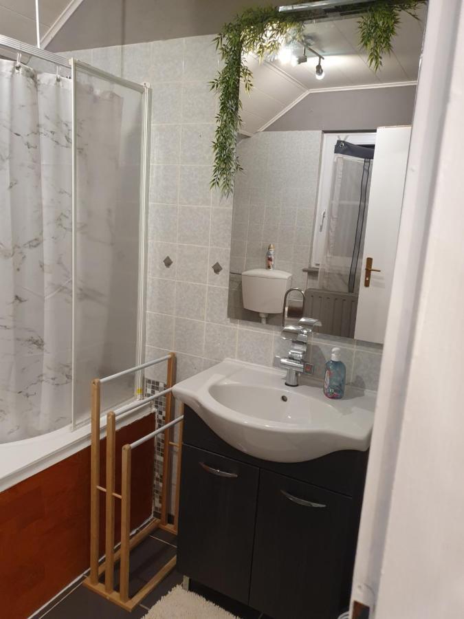 Ferienwohnung Am Siegelbaechle Mit E-Bikes Vermietung Gutach im Breisgau ภายนอก รูปภาพ