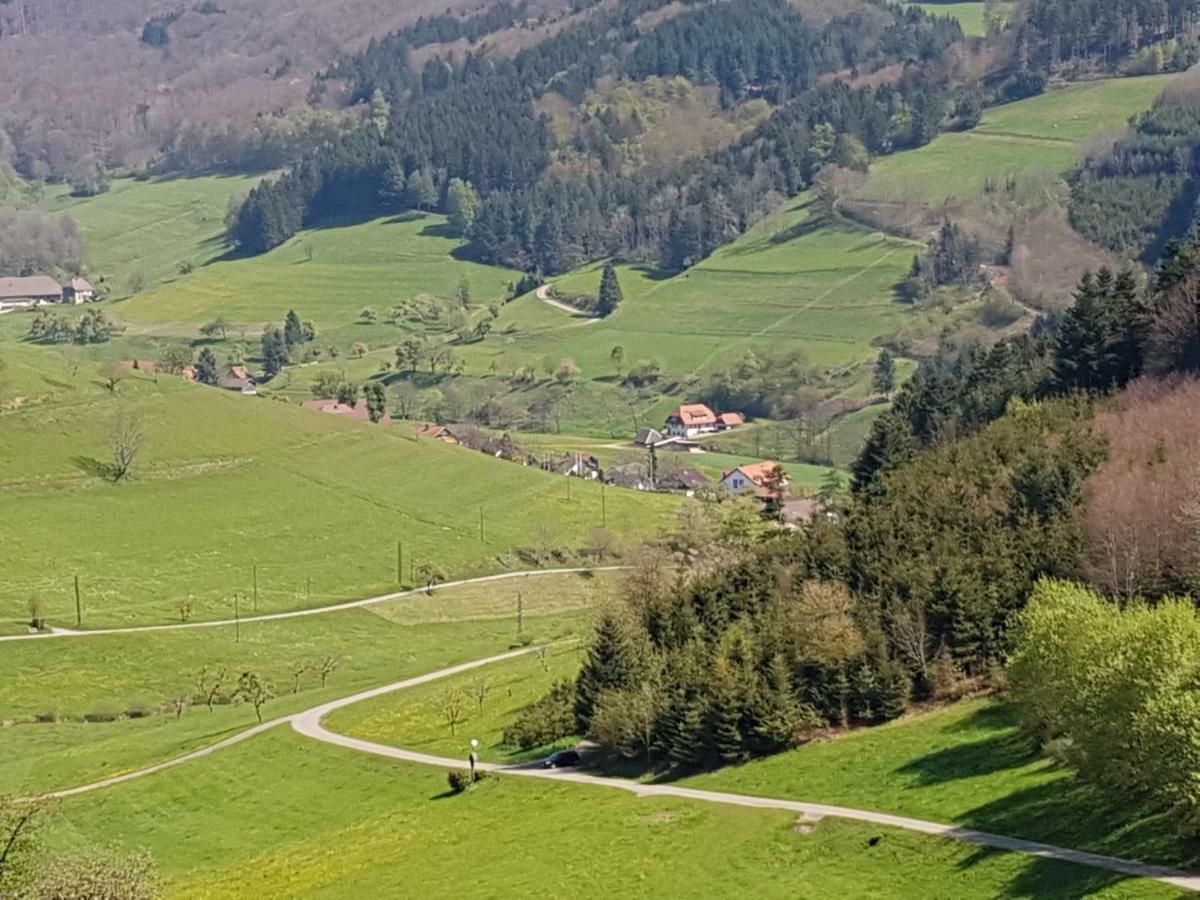 Ferienwohnung Am Siegelbaechle Mit E-Bikes Vermietung Gutach im Breisgau ภายนอก รูปภาพ